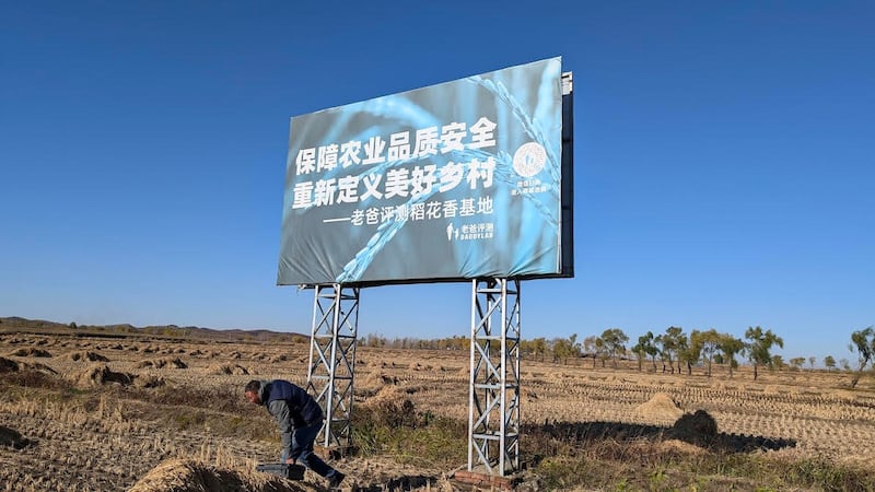 五常大米是东北的金字招牌,今年拥政村正式启动“小农种碳”专案,试图找出农业永续之路。