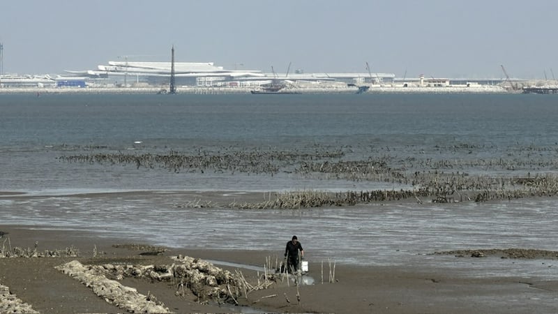 金门东北角泥化日益严重,官澳仅剩一处蚵田,厦门翔安机场近在咫尺。